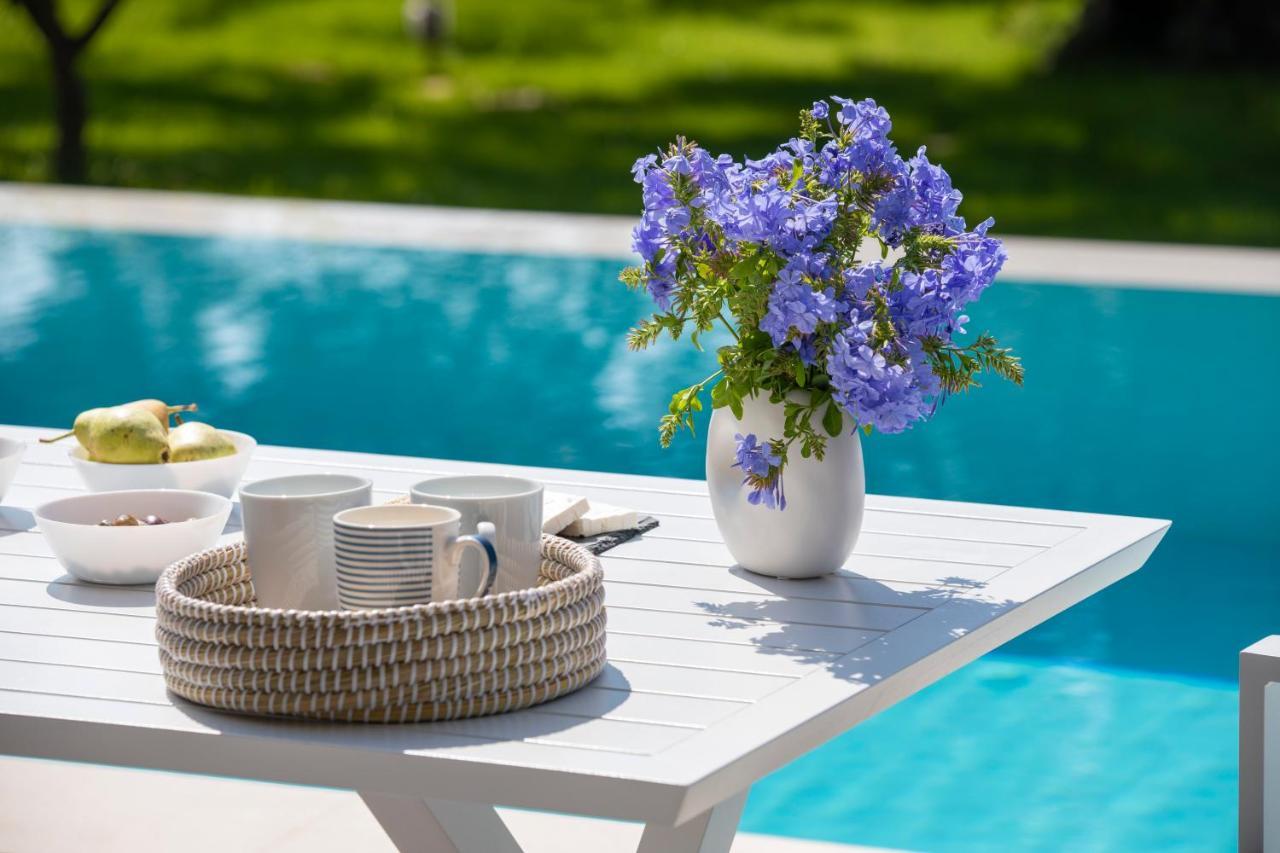 Averto Villas With Private Pool Nydri  Ngoại thất bức ảnh